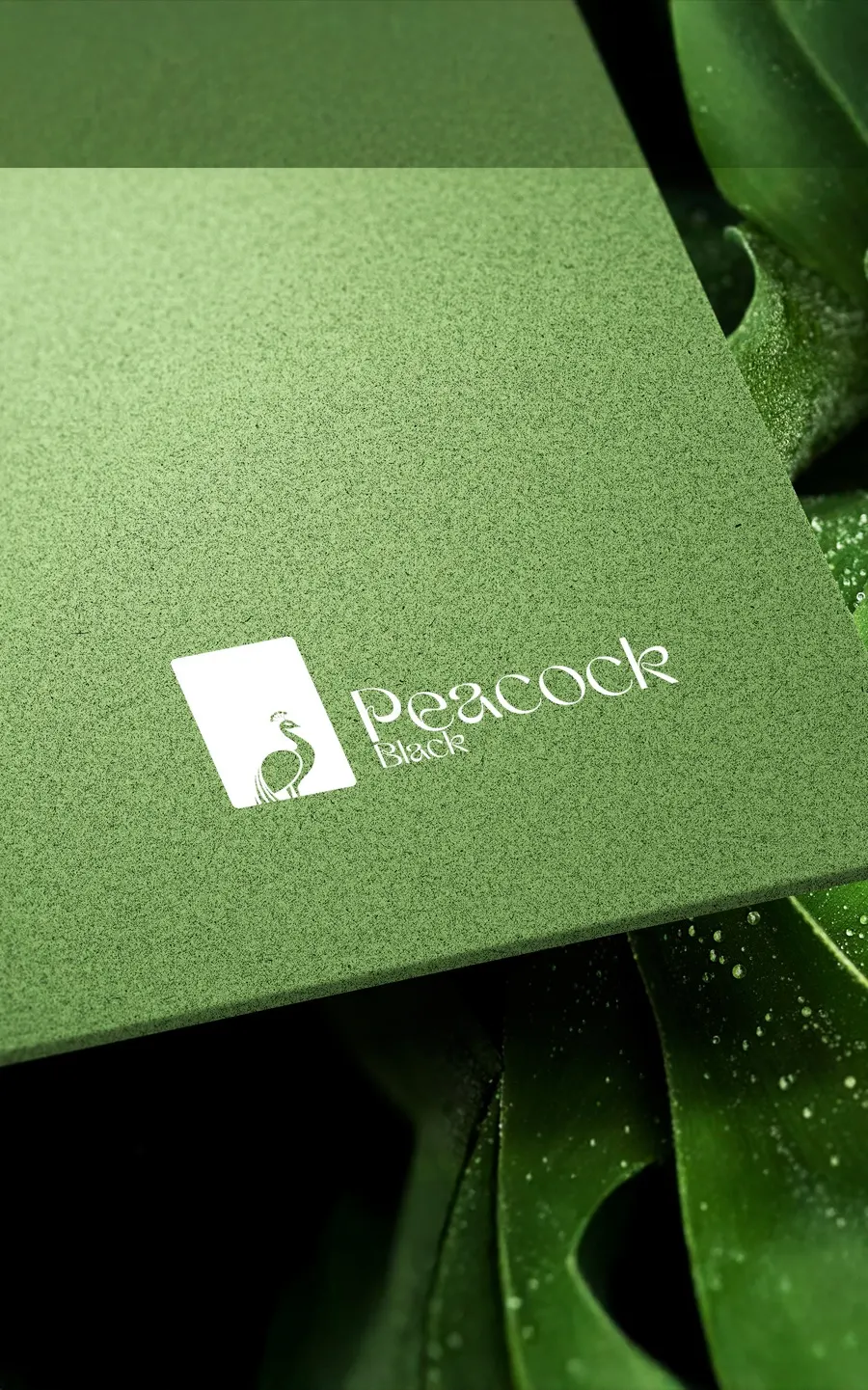 هوية Black Peacock